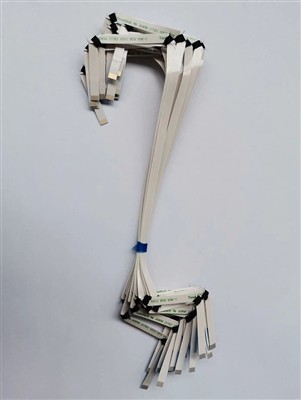 Feartan acfhainn uèiridh dealanach agus an àite deatamach aca ann an gnìomhac...